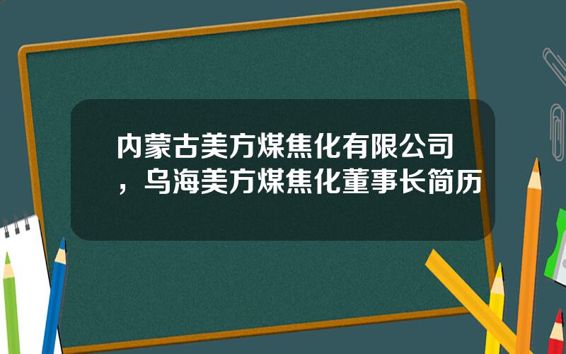内蒙古美方煤焦化有限公司，乌海美方煤焦化董事长简历