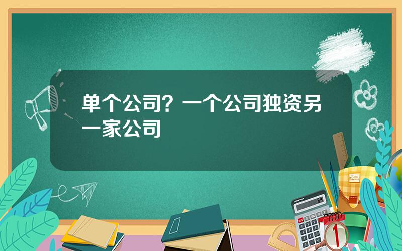 单个公司？一个公司独资另一家公司