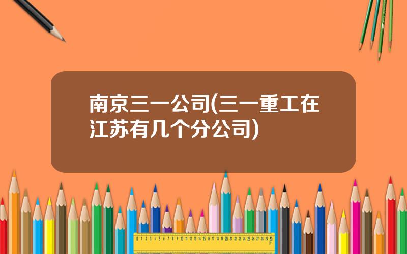 南京三一公司(三一重工在江苏有几个分公司)
