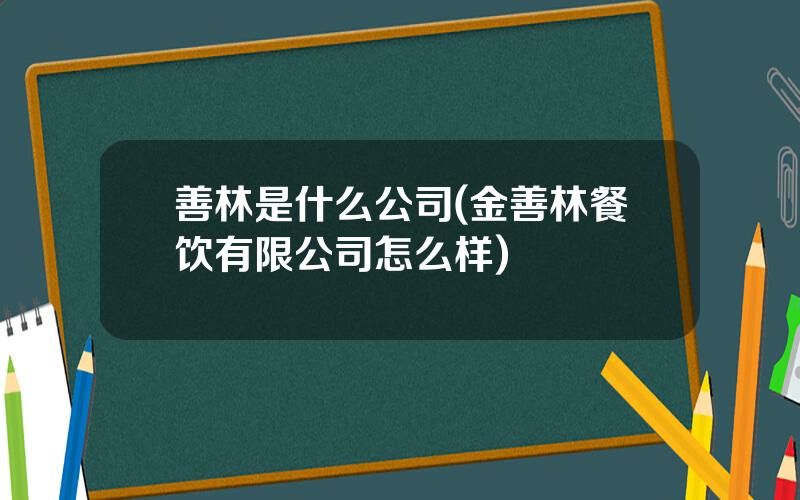 善林是什么公司(金善林餐饮有限公司怎么样)