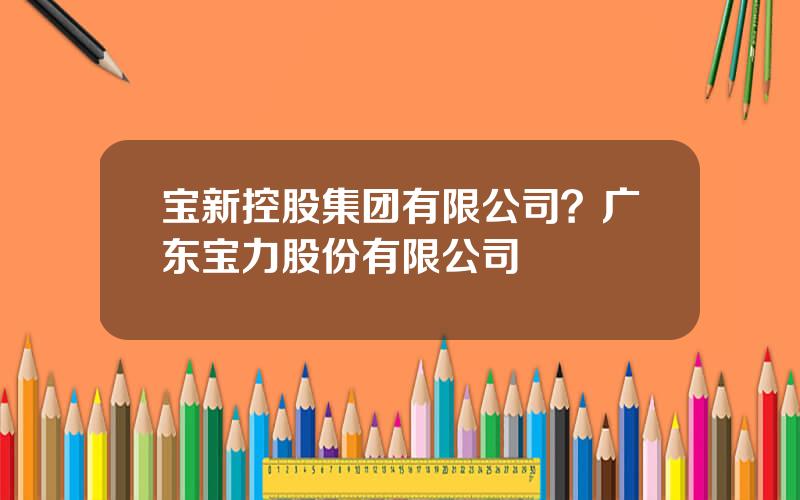 宝新控股集团有限公司？广东宝力股份有限公司