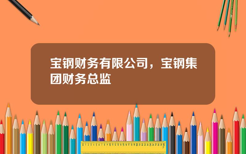 宝钢财务有限公司，宝钢集团财务总监