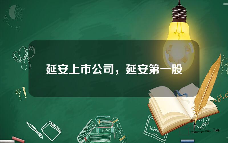 延安上市公司，延安第一股