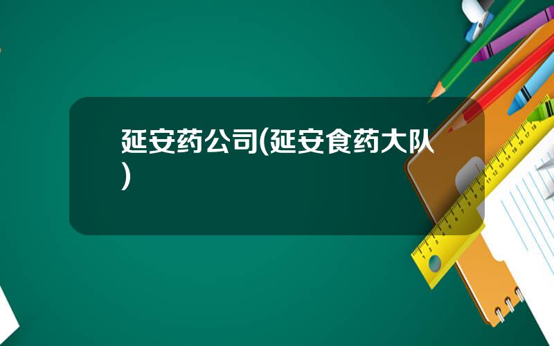 延安药公司(延安食药大队)