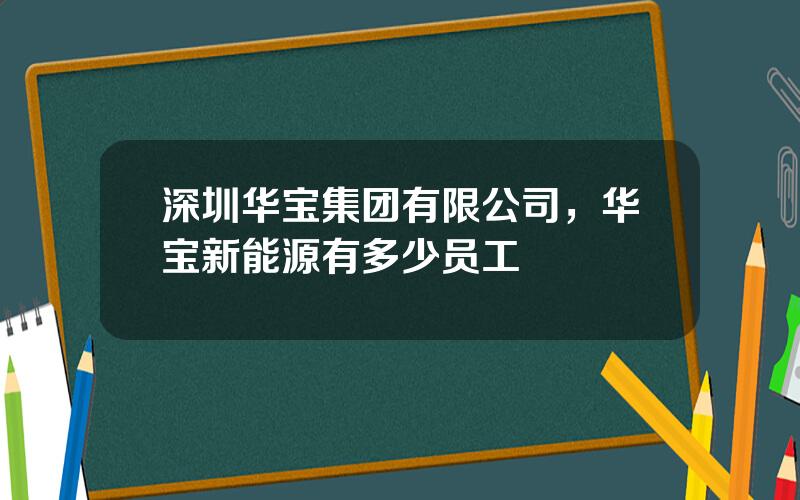 深圳华宝集团有限公司，华宝新能源有多少员工