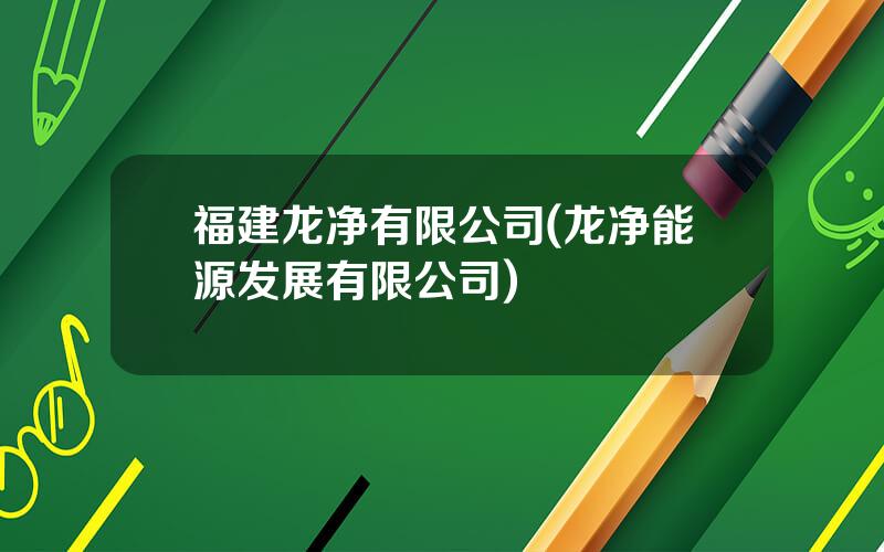 福建龙净有限公司(龙净能源发展有限公司)