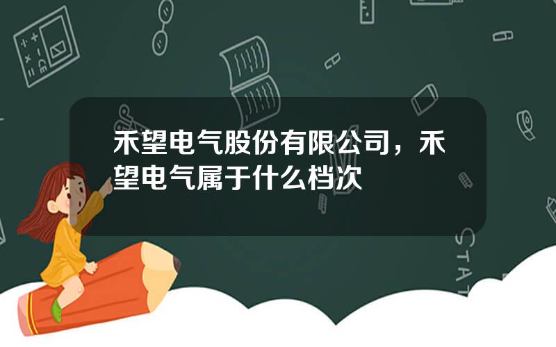 禾望电气股份有限公司，禾望电气属于什么档次