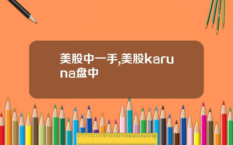 美股中一手,美股karuna盘中